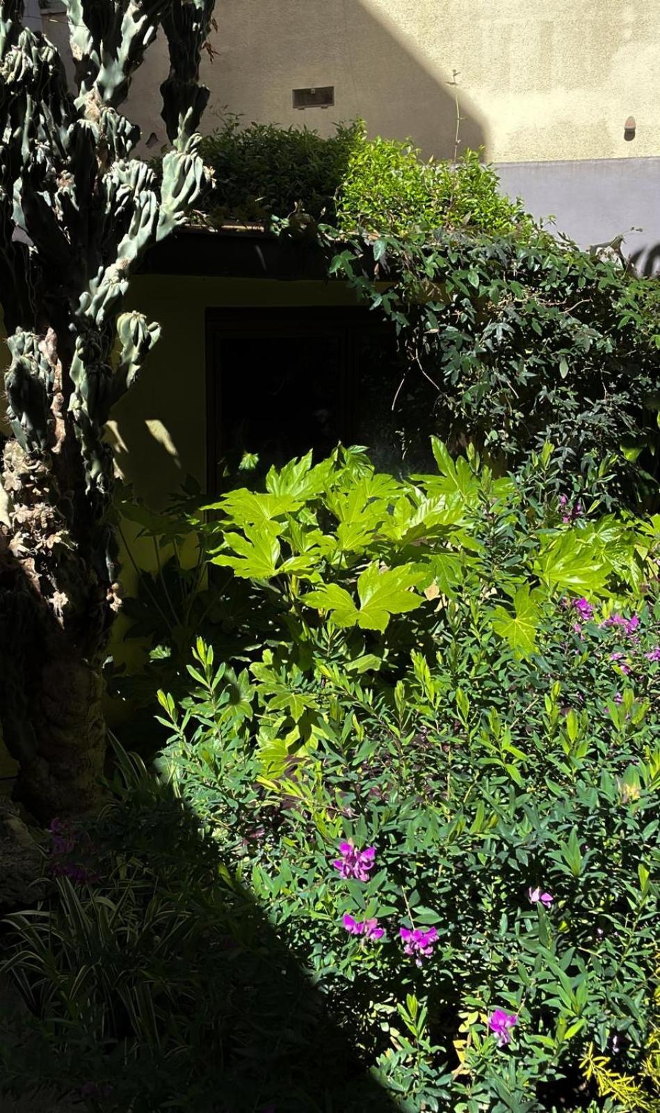 Loquat House Nel Giardino Segreto In Zona Vaticano Roma Dış mekan fotoğraf