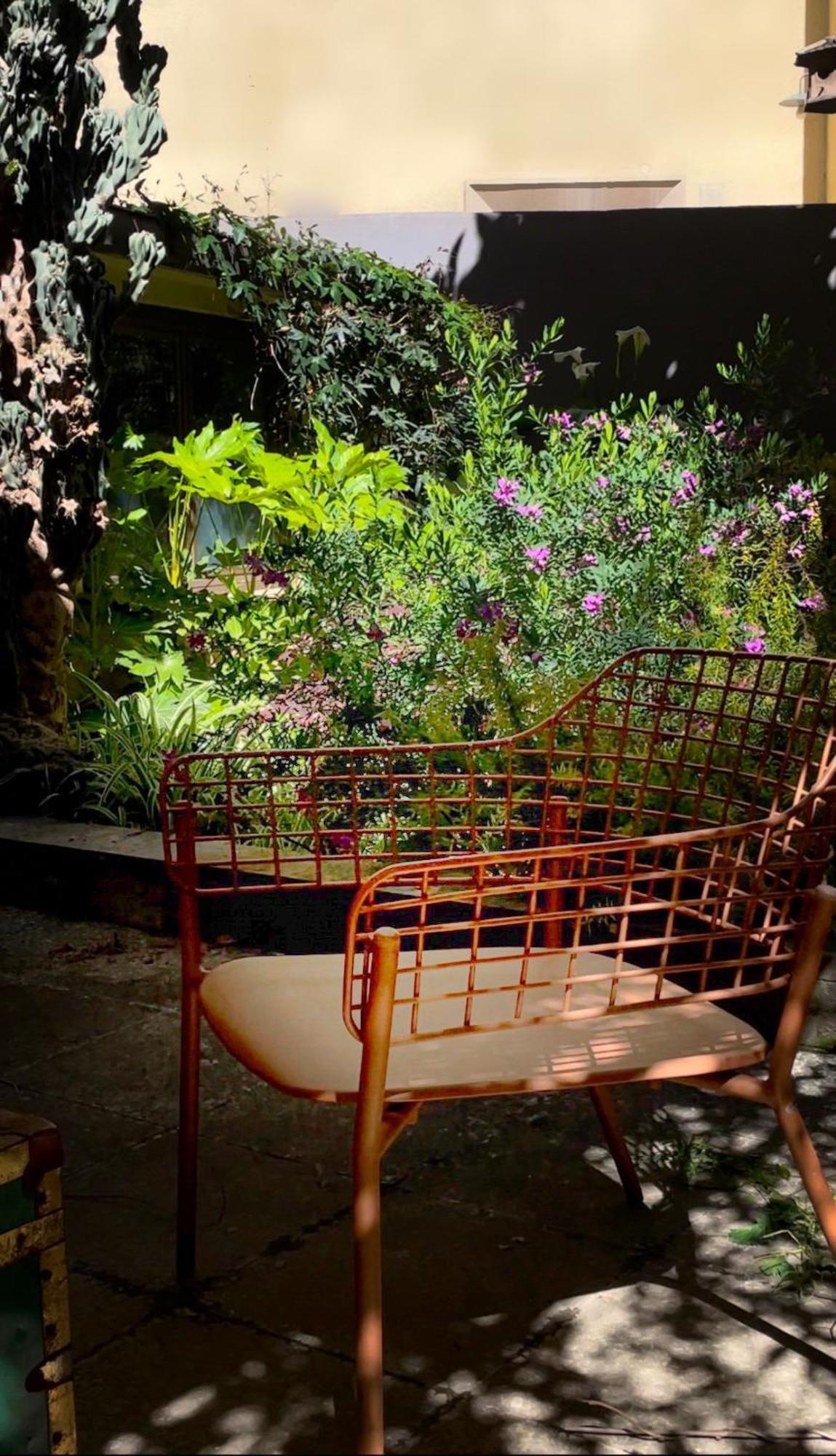 Loquat House Nel Giardino Segreto In Zona Vaticano Roma Dış mekan fotoğraf